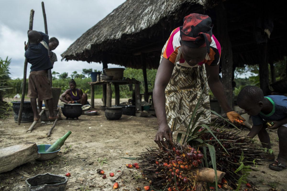 Case study (Liberian Plantation Workers Allege Poor Conditions)